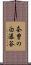 奈曽の白瀑谷 Scroll