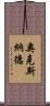 奧克斯納德 Scroll