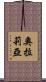 Oralia Scroll