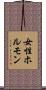 女性ホルモン Scroll