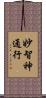 妙智神通行 Scroll