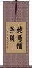 姥烏帽子貝 Scroll