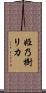 姫乃樹リカ Scroll