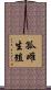 孤雌生殖 Scroll