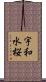 宇和水桜 Scroll