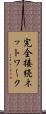 完全接続ネットワーク Scroll