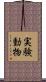 実験動物 Scroll