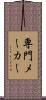 専門メーカー Scroll