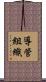 導管組織 Scroll