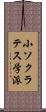 小ソクラテス学派 Scroll