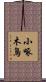 小啄木鳥 Scroll