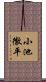小池徹平 Scroll