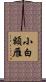 小白額雁 Scroll