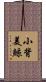 小背美鯨 Scroll