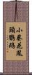 小葵花鳳頭鸚鵡 Scroll