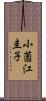 小薗江圭子 Scroll