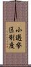 小選挙区制度 Scroll