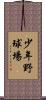 少年野球場 Scroll