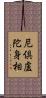 尼倶盧陀身相 Scroll
