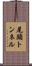 尾頭トンネル Scroll
