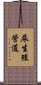 尿生殖管道 Scroll