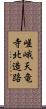 嵯峨天竜寺北造路 Scroll