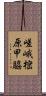 嵯峨樒原甲脇 Scroll
