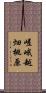 嵯峨越畑桃原 Scroll