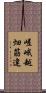 嵯峨越畑筋違 Scroll