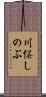 川俣しのぶ Scroll