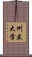 州立大学 Scroll