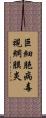 巨細胞病毒視網膜炎 Scroll
