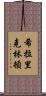 希拉里·克林頓 Scroll