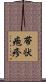 帯状疱疹 Scroll