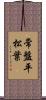 常盤平松葉 Scroll