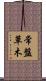 常盤草木 Scroll