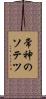 常神のソテツ Scroll