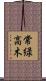 常緑高木 Scroll