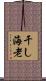 干し海老 Scroll
