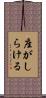座がしらける Scroll