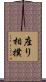 座り相撲 Scroll