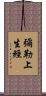 彌勒上生經 Scroll