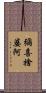 彌喜捨婆阿 Scroll