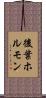後葉ホルモン Scroll