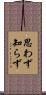 思わず知らず Scroll