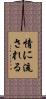 情に流される Scroll