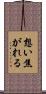 想い焦がれる Scroll