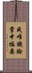 成唯識論掌中樞要 Scroll