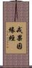 戒果因緣經 Scroll