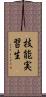 技能実習生 Scroll